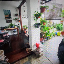 Ardisia Garden (D19), Terrace #537426721